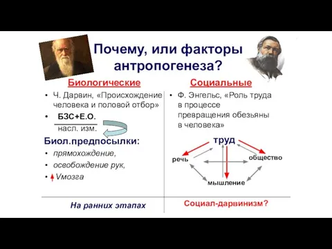 Почему, или факторы антропогенеза? Биологические Ч. Дарвин, «Происхождение человека и половой отбор»