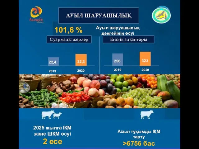 101,6 % Ауыл шаруашылық деңгейінің өсуі 2025 жылға ІҚМ және ШҚМ өсуі