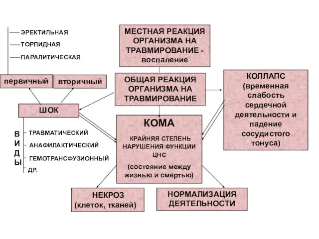 ОБЩАЯ РЕАКЦИЯ ОРГАНИЗМА НА ТРАВМИРОВАНИЕ вторичный КОЛЛАПС (временная слабость сердечной деятельности и