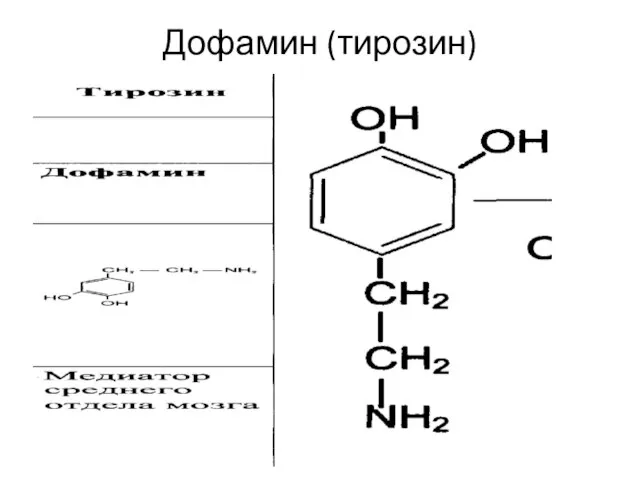Дофамин (тирозин)