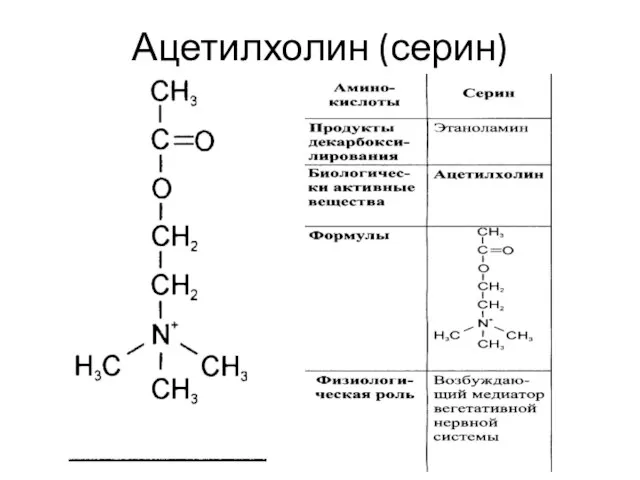 Ацетилхолин (серин)