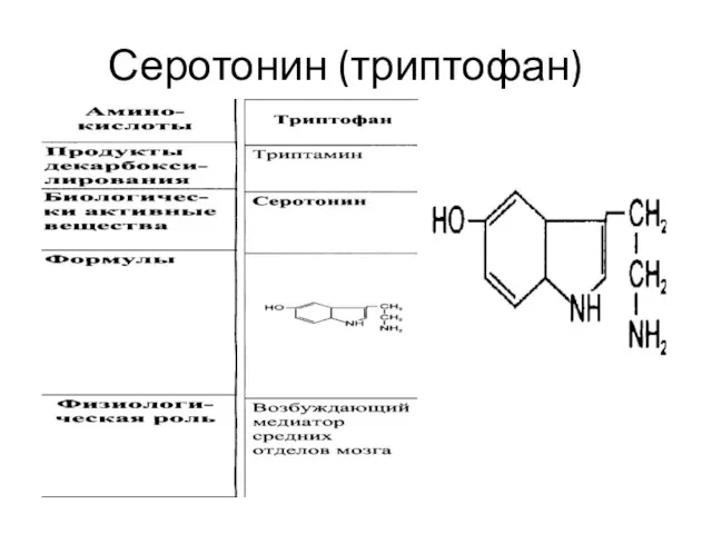 Серотонин (триптофан)