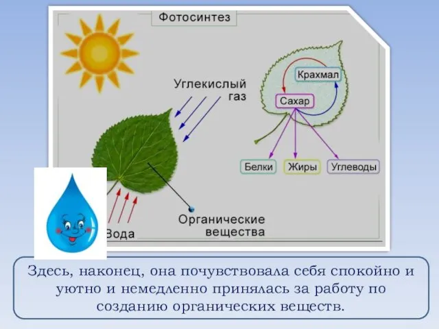 Здесь, наконец, она почувствовала себя спокойно и уютно и немедленно принялась за