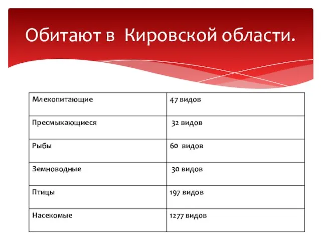 Обитают в Кировской области.