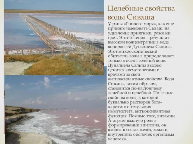 Целебные свойства воды Сиваша У рапы «Гнилого моря», как еще принято именовать