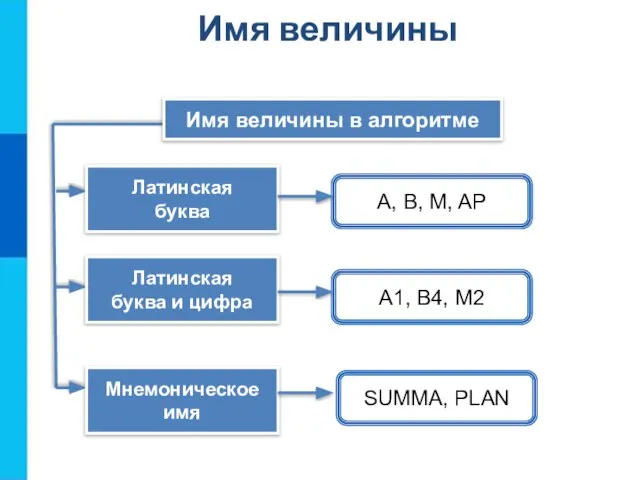 Имя величины в алгоритме Латинская буква A, B, M, AP Латинская буква