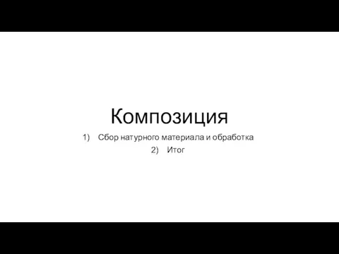 Композиция Сбор натурного материала и обработка Итог