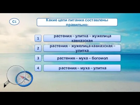 растения – муха – богомол растения – улитка – жужелица кавказская растения