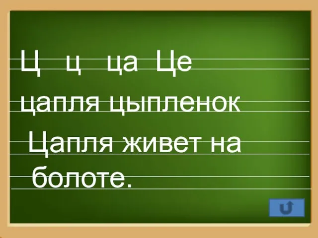 Ц ц ца Це цапля цыпленок Цапля живет на болоте.