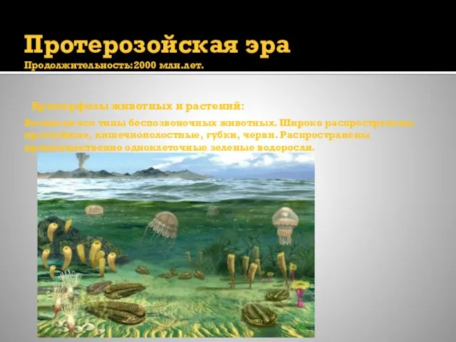 Протерозойская эра Продолжительность:2000 млн.лет. Ароморфозы животных и растений: Возникли все типы беспозвоночных