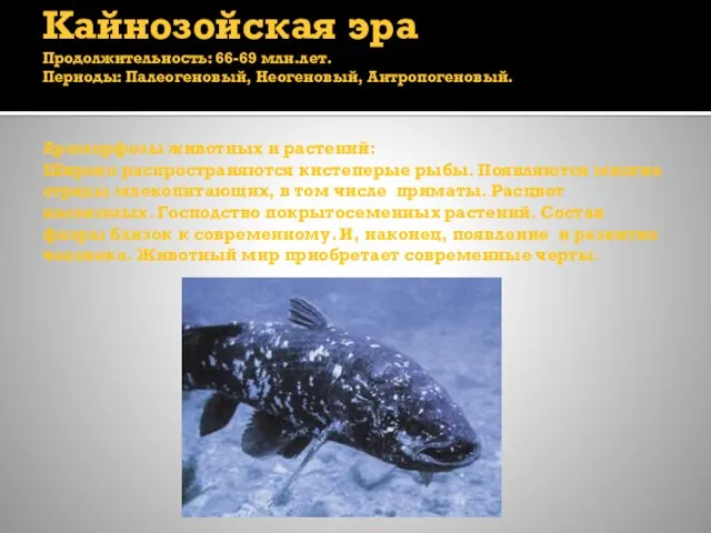 Кайнозойская эра Продолжительность: 66-69 млн.лет. Периоды: Палеогеновый, Неогеновый, Антропогеновый. Ароморфозы животных и