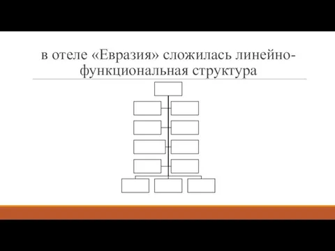 в отеле «Евразия» сложилась линейно-функциональная структура