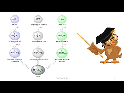 ViTa - Chem & Bio