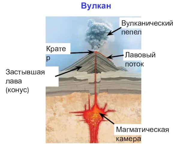 Вулкан Магматическая камера Застывшая лава (конус) Лавовый поток Вулканический пепел Кратер