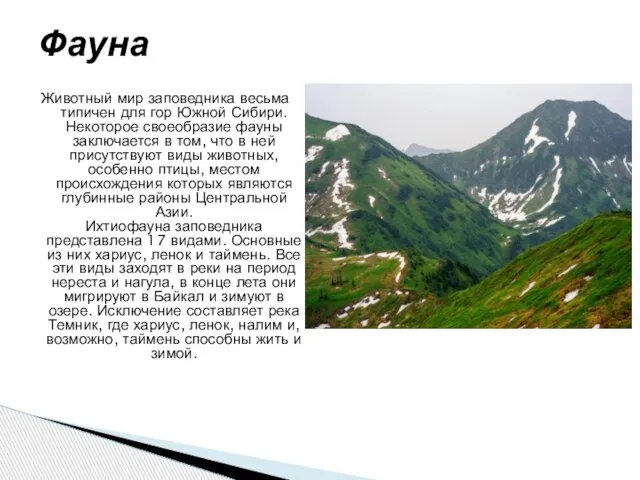 Животный мир заповедника весьма типичен для гор Южной Сибири. Некоторое своеобразие фауны
