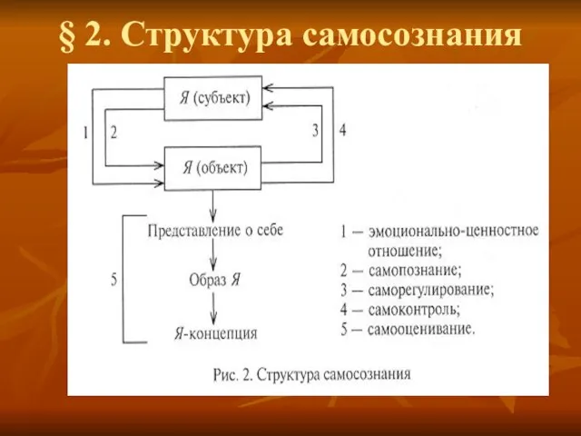 § 2. Структура самосознания