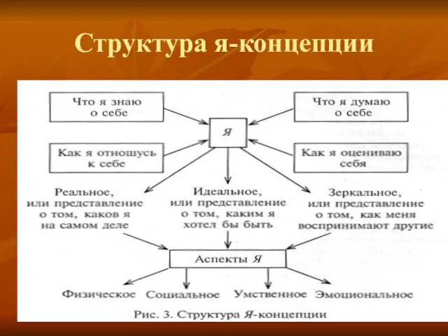 Структура я-концепции