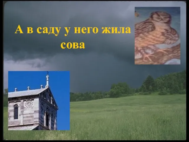 А в саду у него жила сова