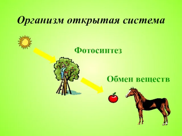 Организм открытая система Фотосинтез Обмен веществ