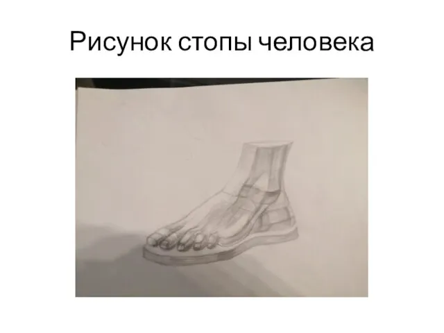 Рисунок стопы человека