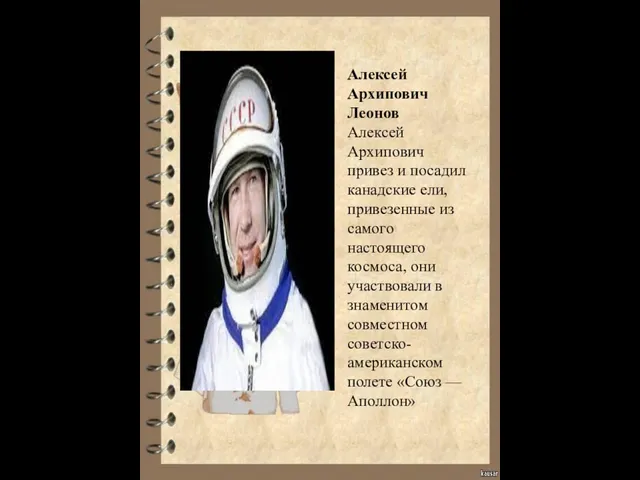 Алексей Архипович Леонов Алексей Архипович привез и посадил канадские ели, привезенные из