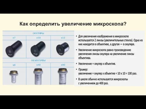 Как определить увеличение микроскопа? Умножаем кратность увеличения объектива на кратность увеличения окуляра. Например: 10х40=400