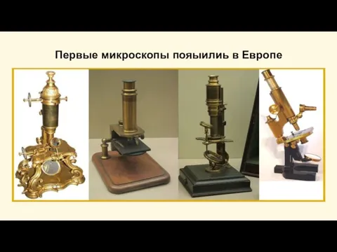 Первые микроскопы пояыилиь в Европе