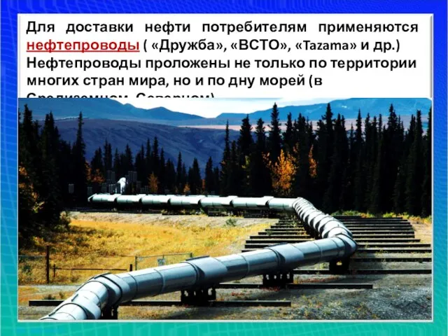 Для доставки нефти потребителям применяются нефтепроводы ( «Дружба», «ВСТО», «Tazama» и др.)