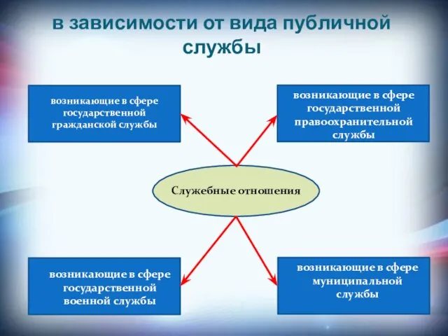 в зависимости от вида публичной службы