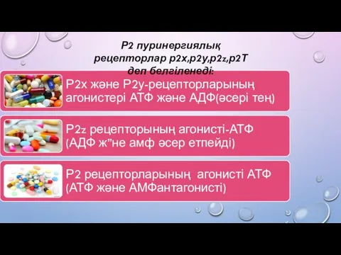 Р2 пуринергиялық рецепторлар р2х,р2у,р2z,р2Т деп белгіленеді: