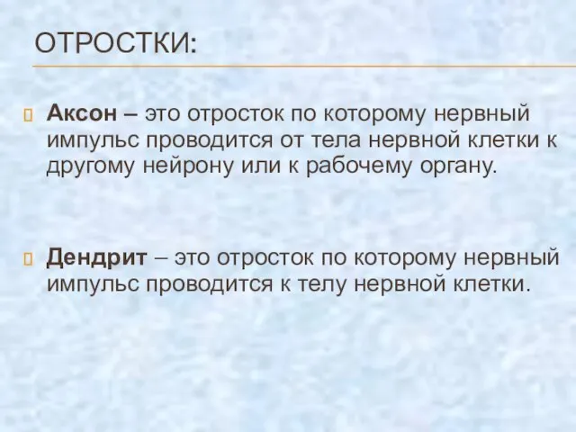 ОТРОСТКИ: Аксон – это отросток по которому нервный импульс проводится от тела