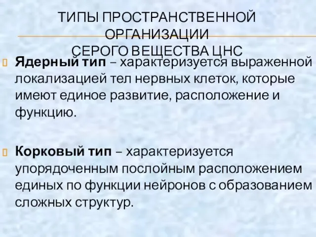 ТИПЫ ПРОСТРАНСТВЕННОЙ ОРГАНИЗАЦИИ СЕРОГО ВЕЩЕСТВА ЦНС Ядерный тип – характеризуется выраженной локализацией