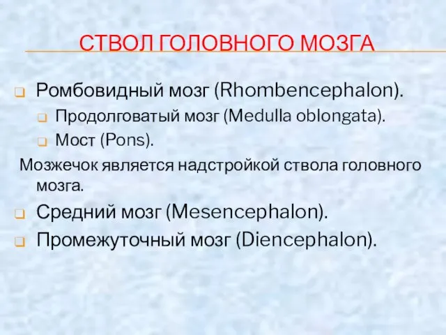 СТВОЛ ГОЛОВНОГО МОЗГА Ромбовидный мозг (Rhombencephalon). Продолговатый мозг (Medulla oblongata). Мост (Pons).