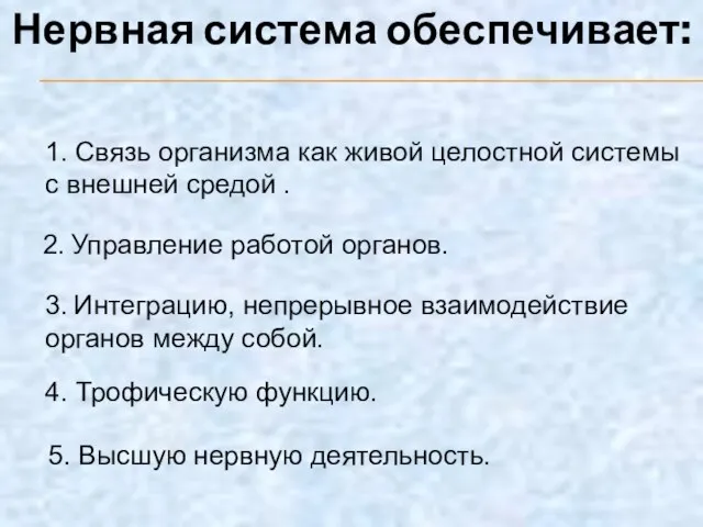 Нервная система обеспечивает: 1. Связь организма как живой целостной системы с внешней