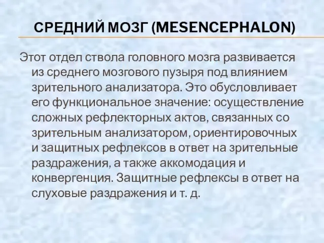 СРЕДНИЙ МОЗГ (MESENCEPHALON) Этот отдел ствола головного мозга развивается из среднего мозгового