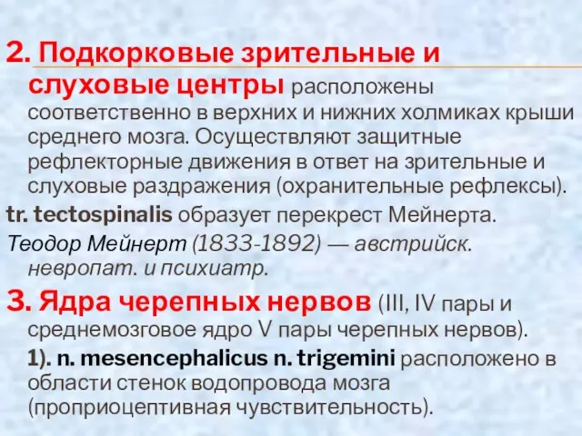 2. Подкорковые зрительные и слуховые центры расположены соответственно в верхних и нижних