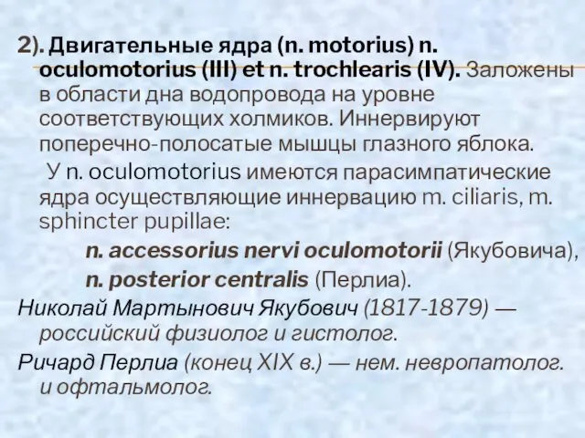 2). Двигательные ядра (n. motorius) n. oculomotorius (III) et n. trochlearis (IV).