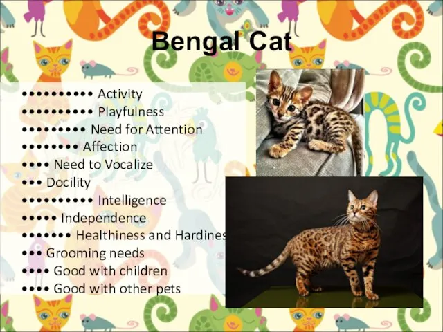 Bengal Cat •••••••••• Activity •••••••••• Playfulness ••••••••• Need for Attention •••••••• Affection
