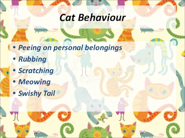 Cat Behaviour Peeing on personal belongings Rubbing Scratching Meowing Swishy Tail
