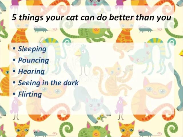5 things your cat can do better than you Sleeping Pouncing Hearing