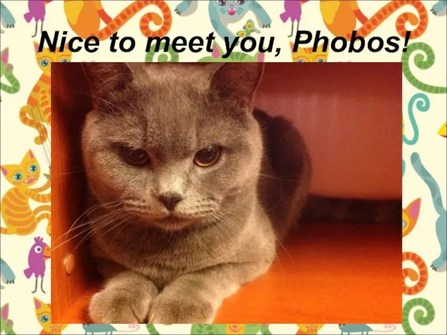 Nice to meet you, Phobos!