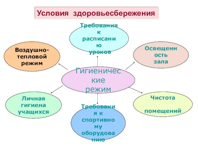 Гигиенические режим Требования к спортивному оборудованию Освещенность зала Требования к расписанию уроков