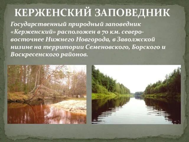 Государственный природный заповедник «Керженский» расположен в 70 км. северо-восточнее Нижнего Новгорода, в