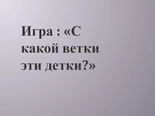 Игра : «С какой ветки эти детки?»