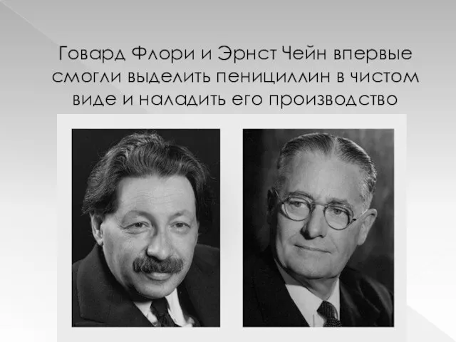 Говард Флори и Эрнст Чейн впервые смогли выделить пенициллин в чистом виде и наладить его производство