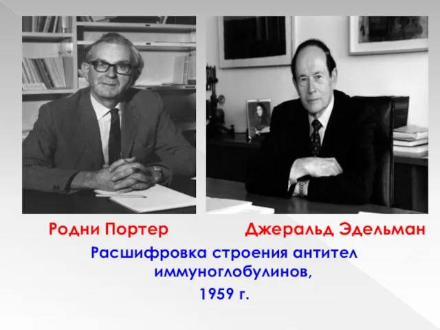 Родни Портер Джеральд Эдельман Расшифровка строения антител иммуноглобулинов, 1959 г.