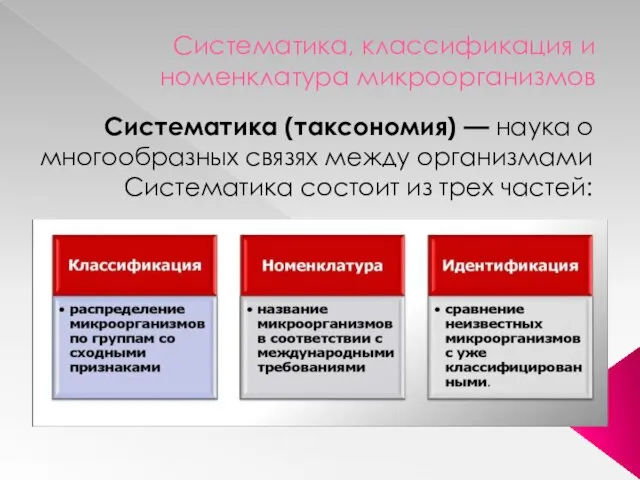 Систематика, классификация и номенклатура микроорганизмов Систематика (таксономия) — наука о многообразных связях