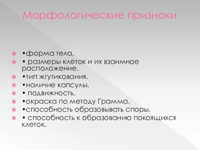 Морфологические признаки •форма тела, • размеры клеток и их взаимное расположение, •тип