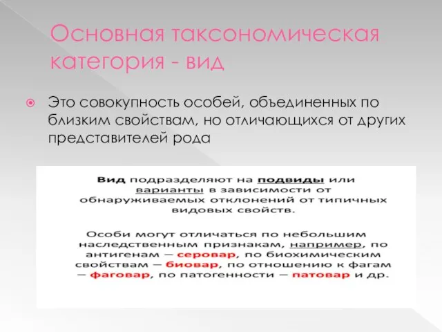 Основная таксономическая категория - вид Это совокупность особей, объединенных по близким свойствам,