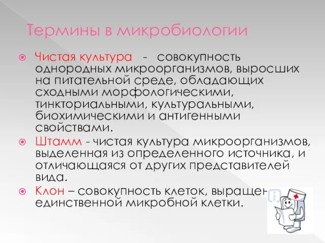 Термины в микробиологии Чистая культура - совокупность однородных микроорганизмов, выросших на питательной